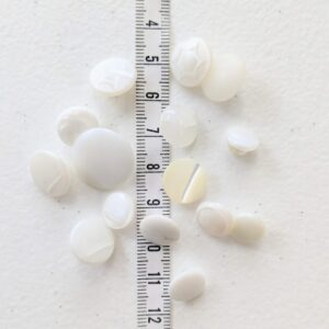 Buttons: Assorted Small White Glass with Tunnel Shank x 15pc