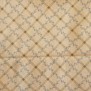 "Garden House" by Jan Patek Quilts" for Moda Quilting Cotton (110cm x 90cm)