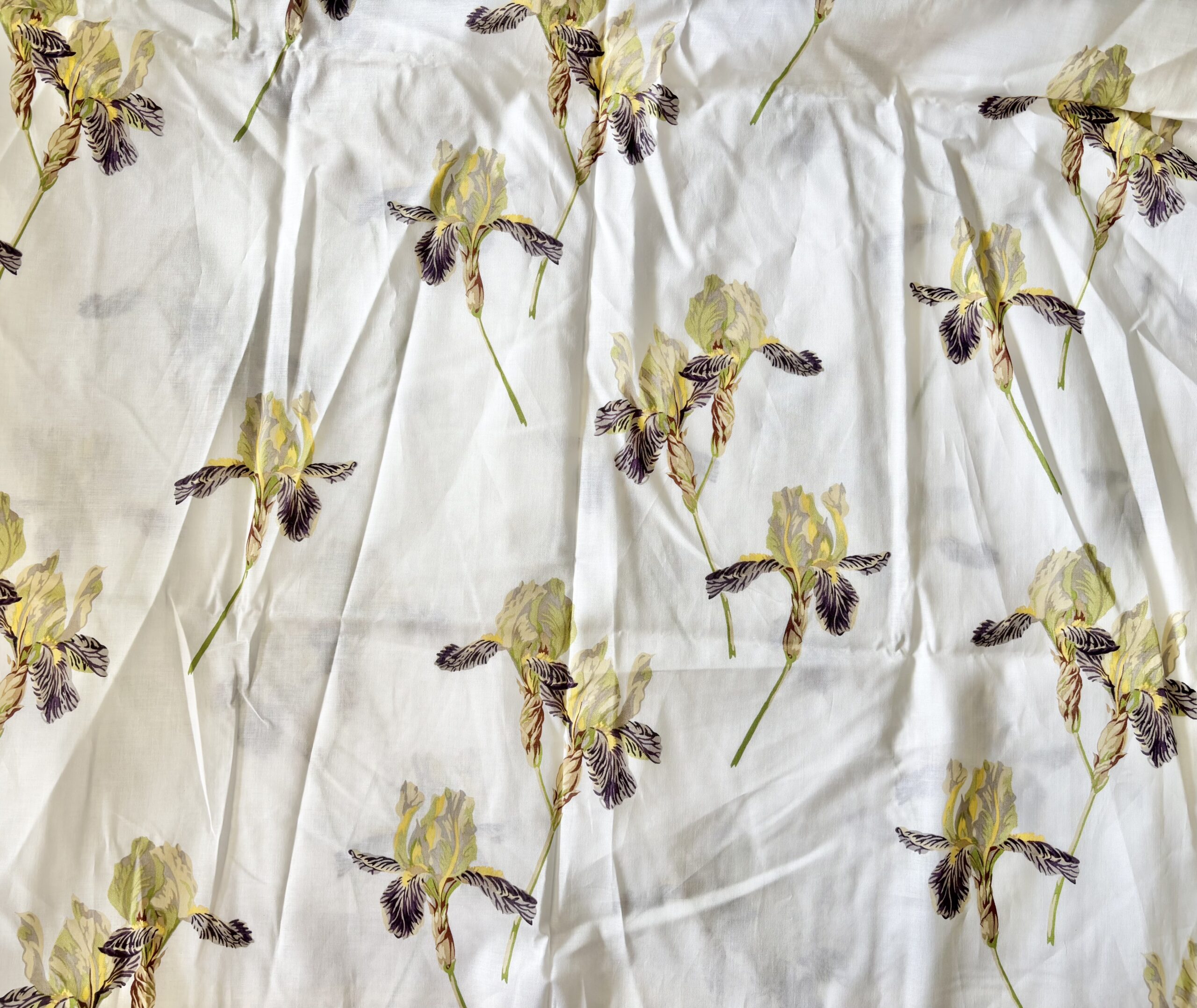 Bearded Iris Cotton Lawn. (140cm x 117cm)