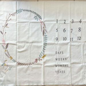 'Little Ducklings' by Paper & Cloth for Moda Quilting Cotton Panel (115cm x 95cm)