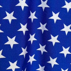 Blue and White Stars Dancewear Spandex (150cm x 50cm)