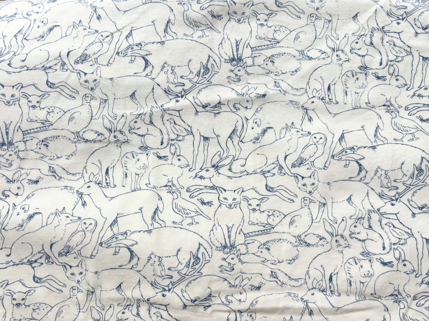 Sketched Animal Cotton Jersey (81cm x 100cm)