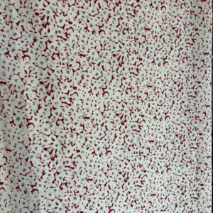 Red & Cream Flowy Floral Dress Fabric (114cm x 200cm)